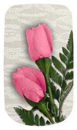 DAROYAL-054 2 Roses Pink